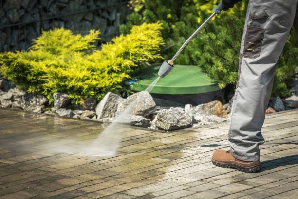 Best Winterizing Services  in Tarboro, NC