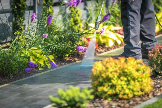 Professional Pressure Washing Services in Tarboro, NC
