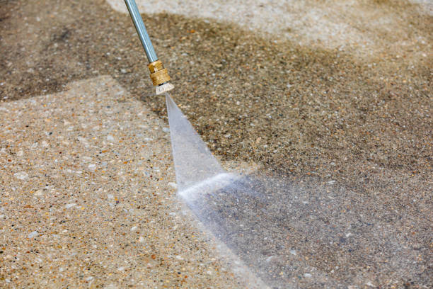 Best Driveway Pressure Washing  in Tarboro, NC