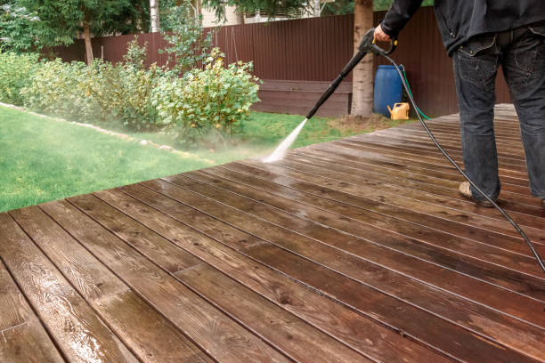Best Roof Washing  in Tarboro, NC